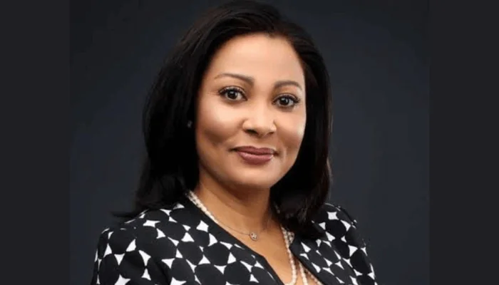 Nigeria Vows to Curb Illicit Financial Flows, Boost Economy 1 IMG 7047