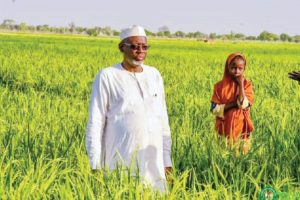 What Jigawa Executive Council Resolved 35 IMG 7167 1