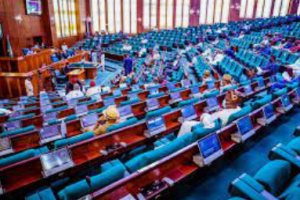Reps pass N1.78trn 2025 FCT budget 20 IMG 7350 1