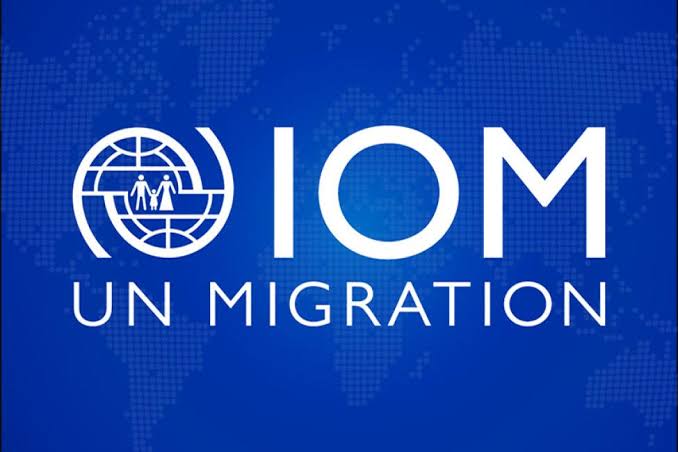 Global Displacement Hits Crisis Point: 83.4 Million Forced from Homes 1 IMG 7430