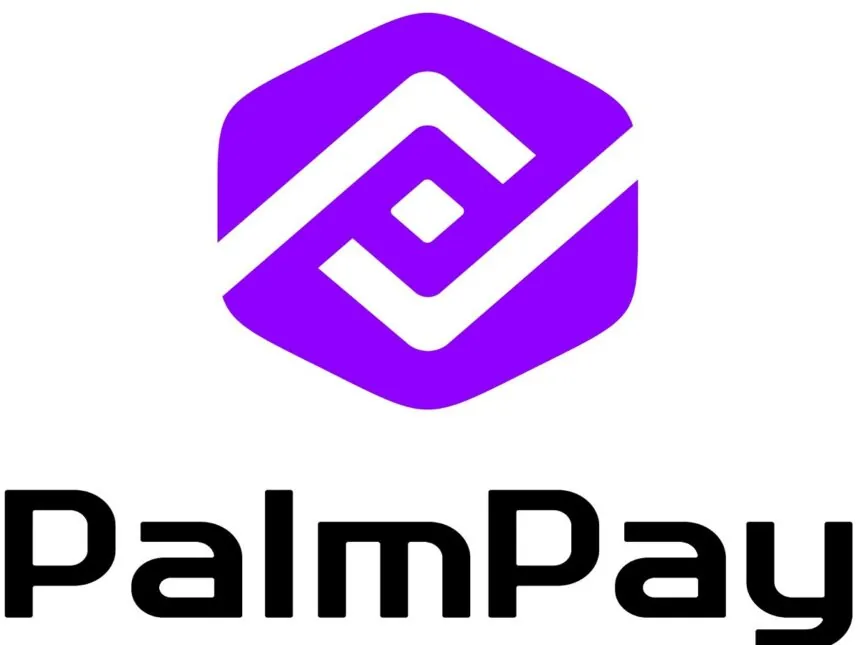 PalmPay's CSR Initiative*: Financial Literacy for 5,000 Women and Youths in Kano 1 IMG 7667