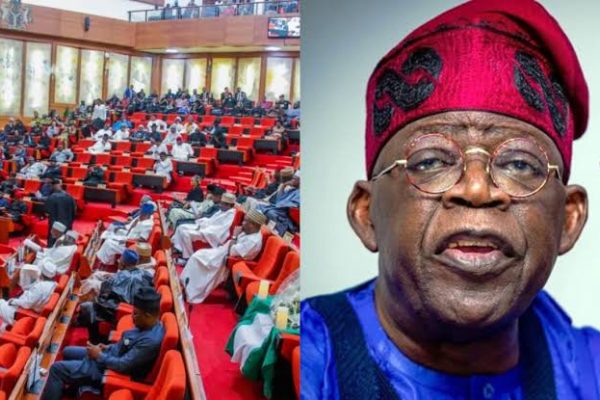 Senate to Join President Tinubu on Condolence Visit to Benue Amid Violent Attacks 18 1000134849