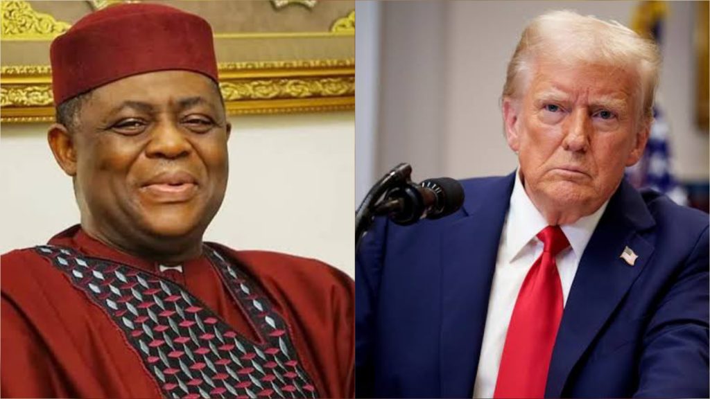 You Are a Disaster – Fani-Kayode Blasts Trump Over Iran-Israel Crisis 1 Fani-Kayode and Trump