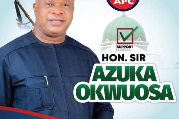 Azuka Okwuosa: A True Patriot And The Most Qualified For Apc Ticket 38 1000136487