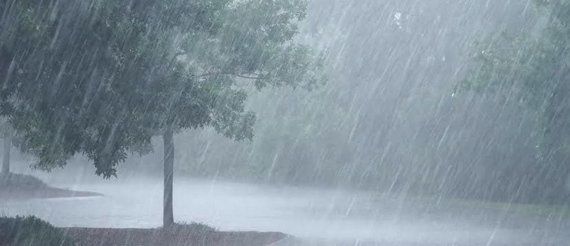 NiMet forecasts thunderstorms, rainfall across Nigeria for three days 1 IMG 7848