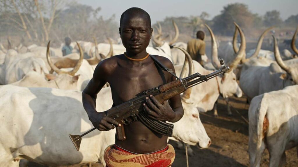 Benue Under Siege: Suspected Herdsmen Launch Deadly Attack on Community 1 IMG 7925