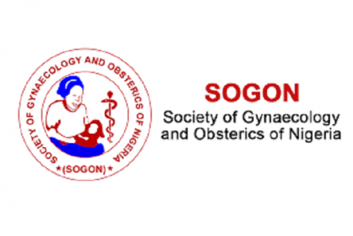 Lagos Govt, SOGON Discuss Strategies to Curb Maternal Deaths 43 IMG 8037