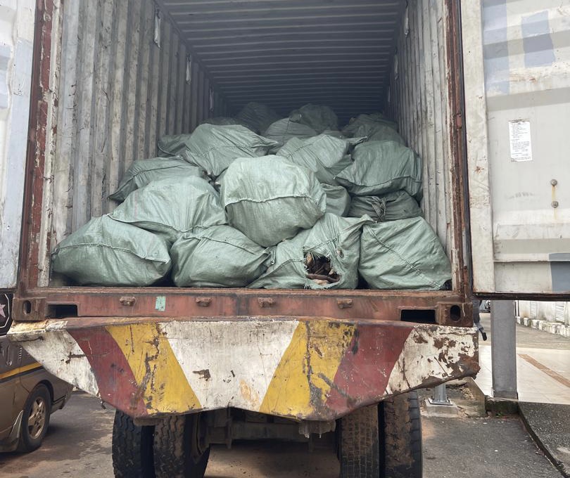 N3.6bn Donkey Skins Seized in Imo, Customs Boost Efforts Against Smuggling 1 IMG 8507